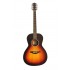 Klasik Gitar